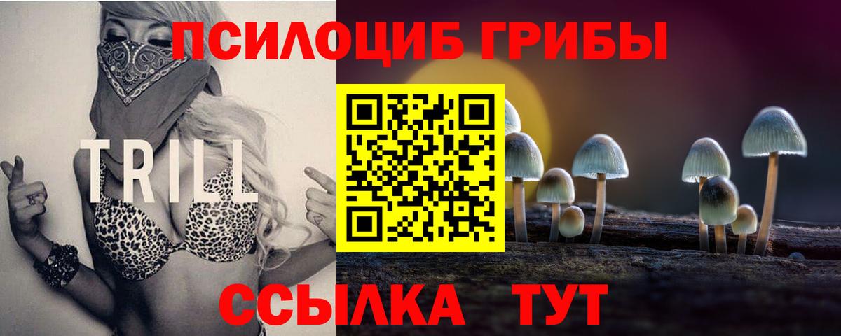 Галлюциногенные грибы Psilocybine cubensis Ивантеевка